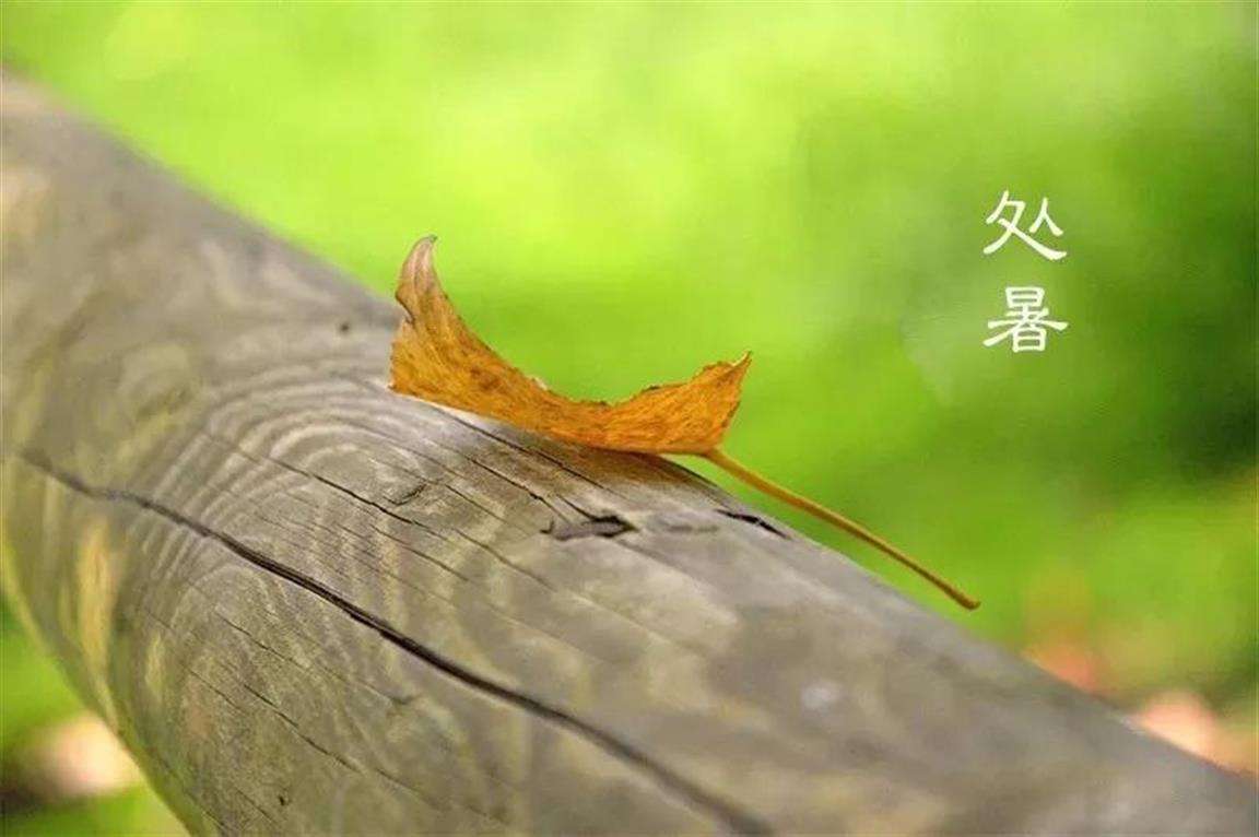 糖果派对 - 更优质的游戏运营商官网
